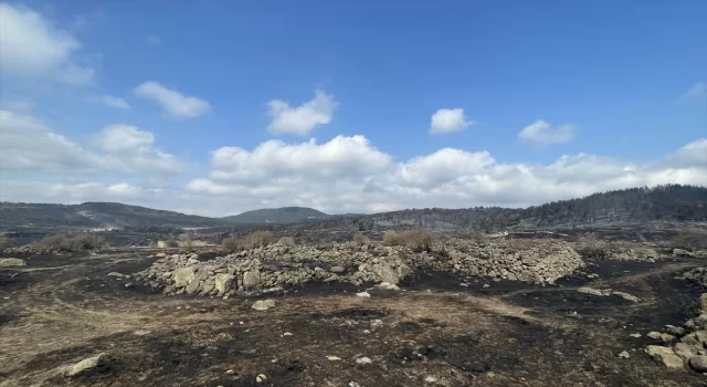 Bolu’da kontrol altına alınan yangında soğutma çalışması sürüyor