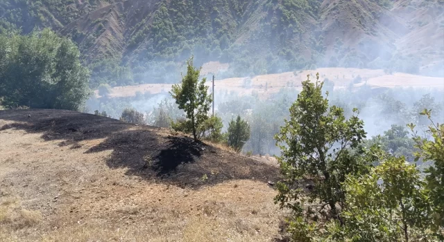 Tunceli’de ormanlık alanda çıkan yangına müdahale ediliyor