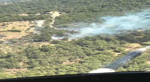 İzmir Kemalpaşa’da çıkan orman yangını kontrol altına alındı