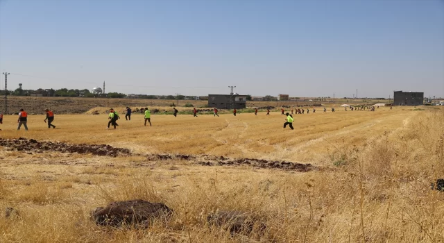 Diyarbakır’da kaybolan 8 yaşındaki Narin’i arama çalışmaları havadan ve karadan sürüyor