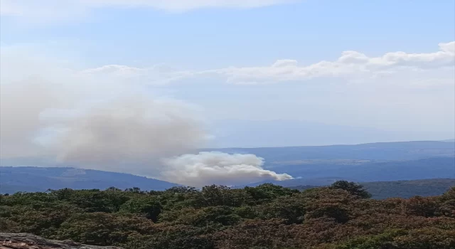 Bursa’da ormanlık alanda çıkan yangına müdahale ediliyor