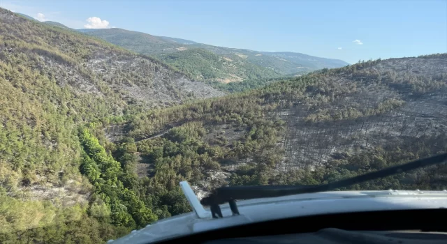 Bursa’da ormanlık alanda çıkan yangın kontrol altına alındı