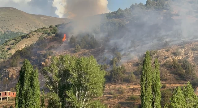 Erzurum’da ormanlık alanda çıkan yangın kontrol altına alındı