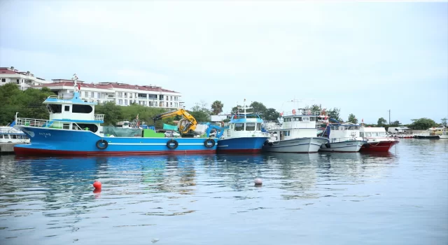 Karadenizli balıkçılar yeni sezonda palamuttan umutlu