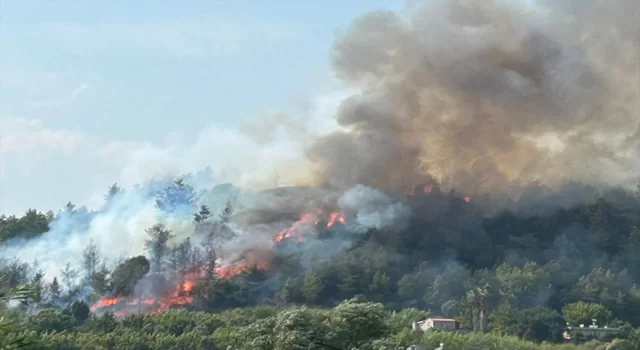 Antalya’nın Aksu ilçesinde orman yangını çıktı