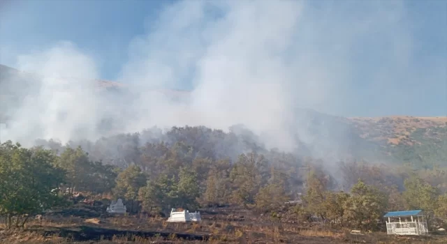 Tunceli’de ormanlık alanda çıkan yangına müdahale ediliyor