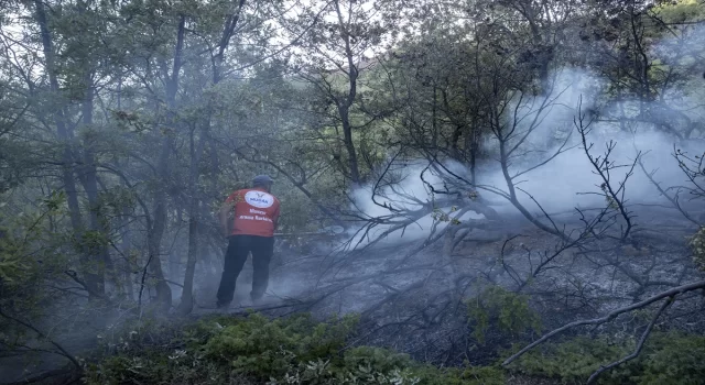 GÜNCELLEME  Tunceli’de ormanlık alanda çıkan yangın söndürüldü