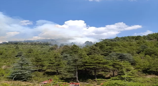 Burdur’da çıkan orman yangını söndürüldü