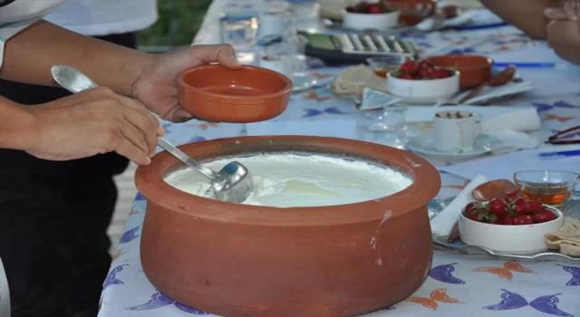 Mersin’de coğrafi işaretli Silifke yoğurdu mayalama ve yeme yarışması yapıldı