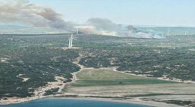 İzmir’in Urla ilçesinde çıkan orman yangınına müdahale ediliyor