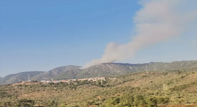 Milas’ta ormanlık alanda çıkan yangına müdahale ediliyor