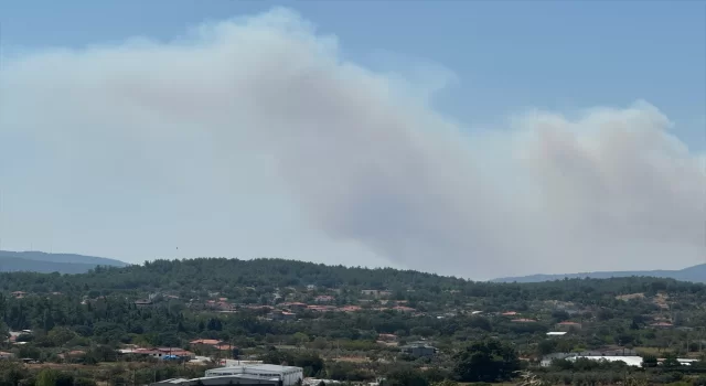 Muğla’da çıkan orman yangınına müdahale ediliyor