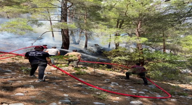 Antalya’da yıldırımın neden olduğu orman yangınına müdahale ediliyor