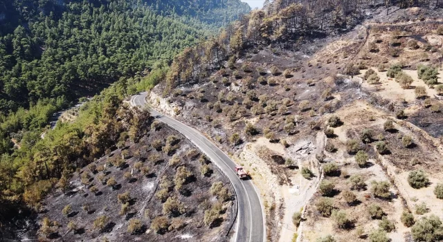 Muğla’da çıkan orman yangınına müdahale sürüyor