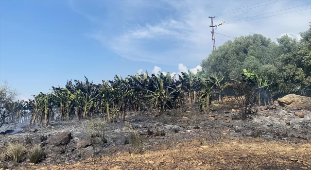 Antalya’da otluk alanda çıkıp muz bahçesine sıçrayan yangın söndürüldü