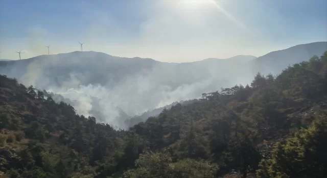 GÜNCELLEME Hatay’da ormanlık alandaki yangına müdahale ediliyor