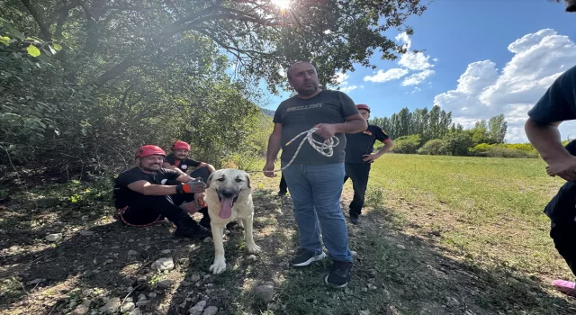 Çorum’da kayalıkta mahsur kalan köpeği itfaiye ekibi kurtardı