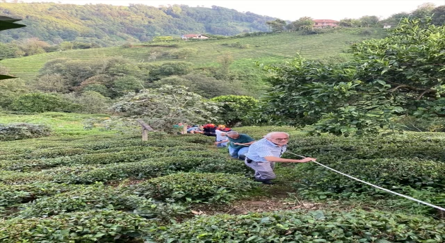 Rize’de teli kopan ilkel teleferikten çay bahçesine atlayan kadın yaralandı