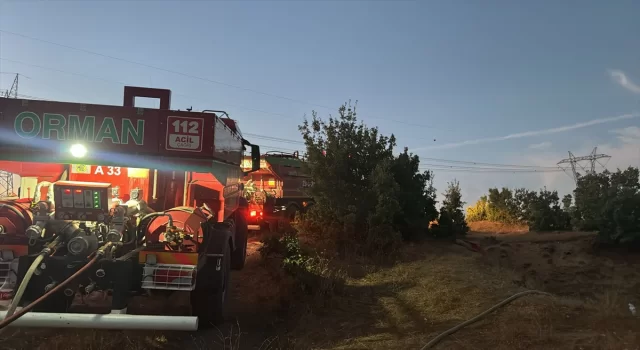 Bingöl’de ormanlık alanda çıkan yangın söndürüldü