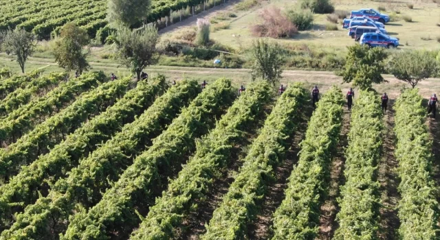 Manisa’da üzüm bağında silahla vurulan çiftçi öldü