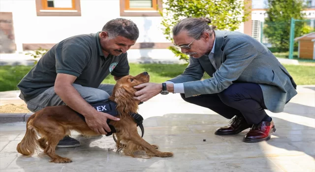 Etimesgut Belediyesince 5 sahipsiz köpek eğitilerek bekçi köpeği yapıldı 