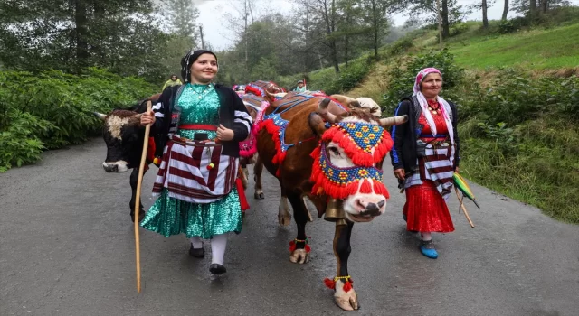 Doğu Karadeniz yaylalarında besicilerin dönüş yolculuğu başladı