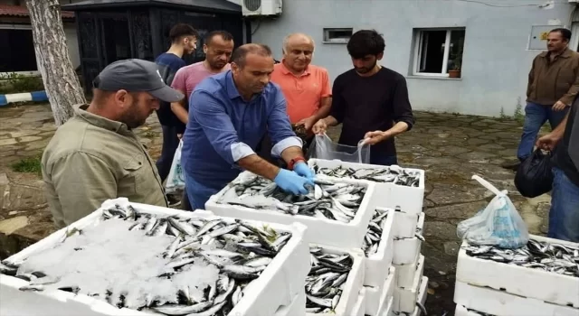 Sinop’ta kaçak yolla avlandığı belirlenen balıklar vatandaşlara ücretsiz dağıtıldı