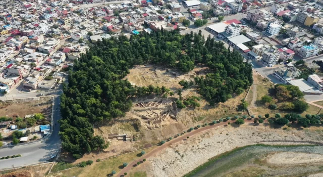 Yumuktepe Höyüğü’nde 9 bin yıllık geçmişe sahip iki buğday türü tespit edildi