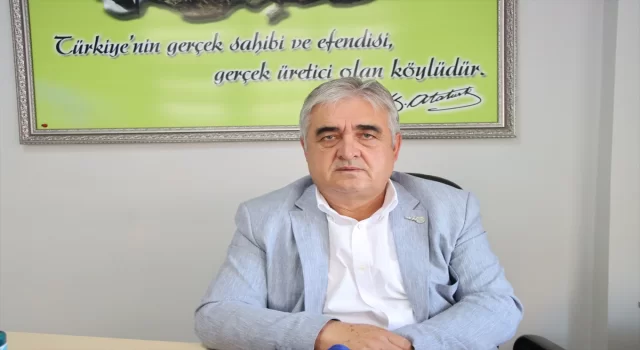 Trakya’da aşırı sıcak ve kuraklık, ayçiçeğinde verimi düşürdü