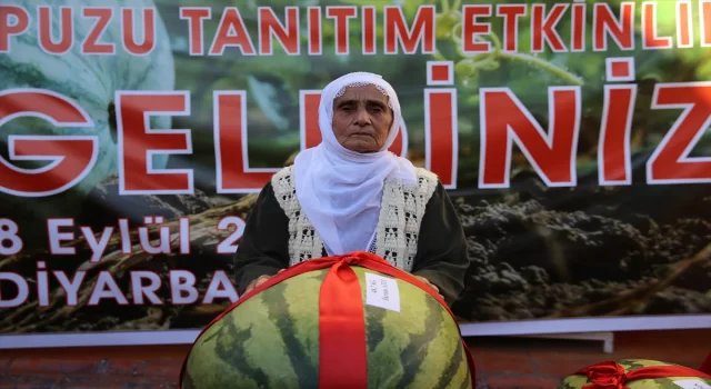 Diyarbakır’da ”14. Diyarbakır Karpuzu Tanıtım Etkinlikleri” düzenlendi