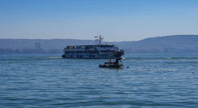 İzmir Körfezi’nde balık ölümleri sürüyor