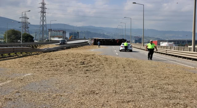 Samsun’da arı sokan tır şoförü kaza yaptı