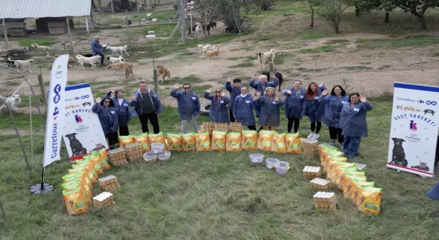 CarrefourSA ”Dost Hareketi” ile sokak hayvanlarına desteğe devam ediyor