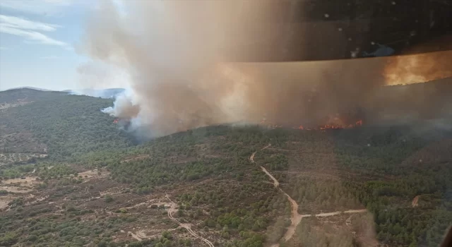 İzmir’de çöplükte çıkan ve ormana sıçrayan yangına müdahale ediliyor