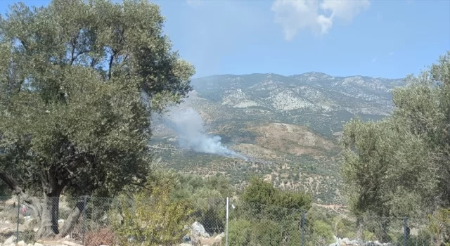 Muğla’da çıkan yangında 2 hektar makilik ve tarım alanı zarar gördü