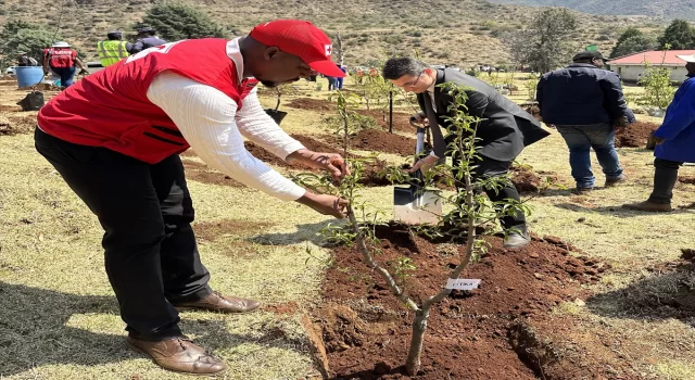 TİKA, Lesotho Krallığı’na 2 bin fidan hibe etti