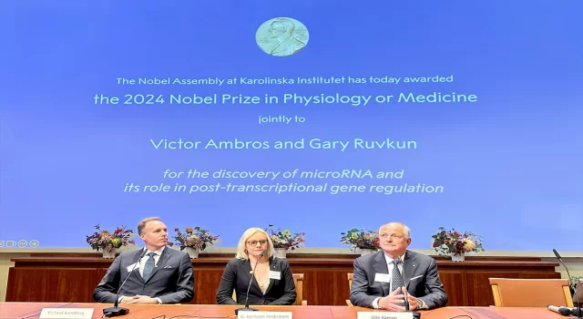 2024 Nobel Tıp Ödülü’nü ”mikroRNA’nın keşfi ve gen düzenlemesi” çalışmalarından dolayı ABD’li Victor Ambros ve Gary Ruvkun kazandı