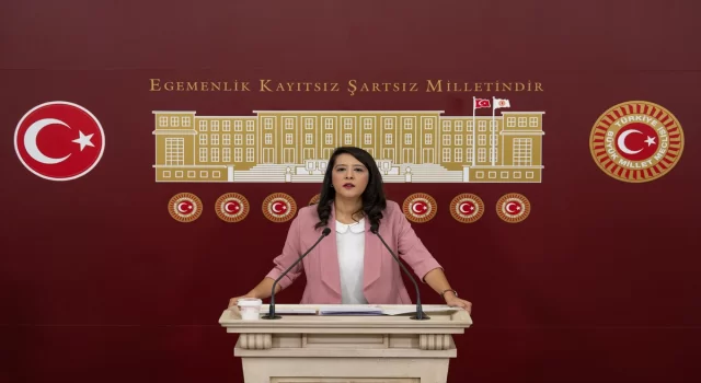 EMEP’li Demir, kadına ve çocuğa yönelik şiddetle kaynağına inilerek mücadele edilmesini istedi