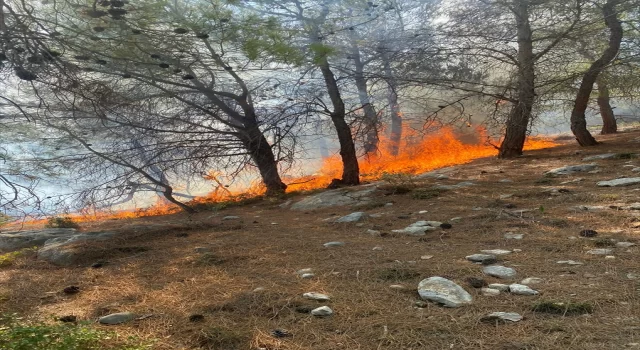 Mersin’de çıkan orman yangını söndürüldü 