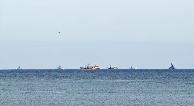 Balıkçılar palamut avı için rotayı Doğu Karadeniz’e çevirdi