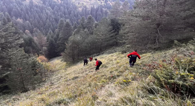 Bolu’da yaylada kaybolan yaşlı çift aranıyor