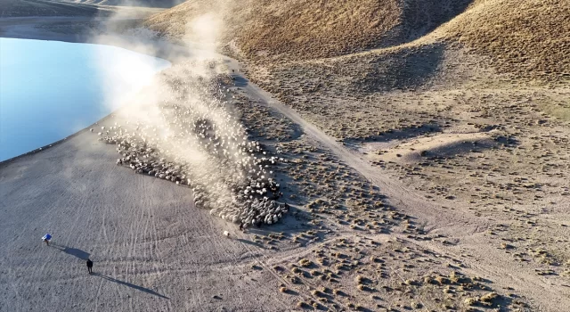 Sürülerin Nemrut Dağı’na tozlu yolculuğu