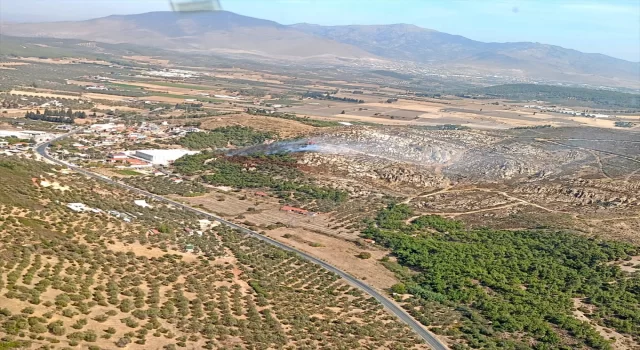 İzmir Foça’da ormanlık alanda yangın çıktı