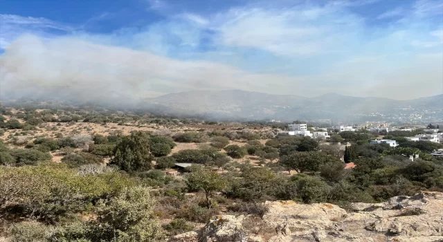 Bodrum’da çıkan yangında 5 hektar makilik zarar gördü