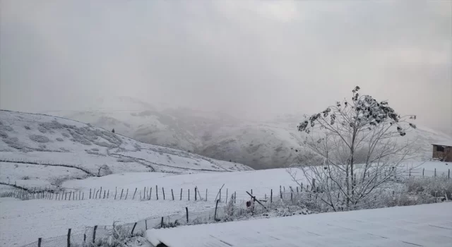 Karadeniz’de 5 şehirde yüksek kesimlere kar düştü