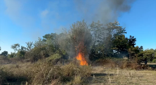 Adana’da çalılıktan tarım alanına sıçrayan yangın kontrol altına alındı