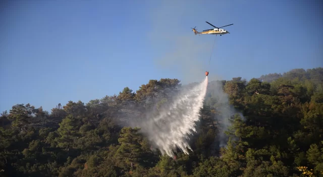 Muğla’daki orman yangınlarına müdahale devam ediyor