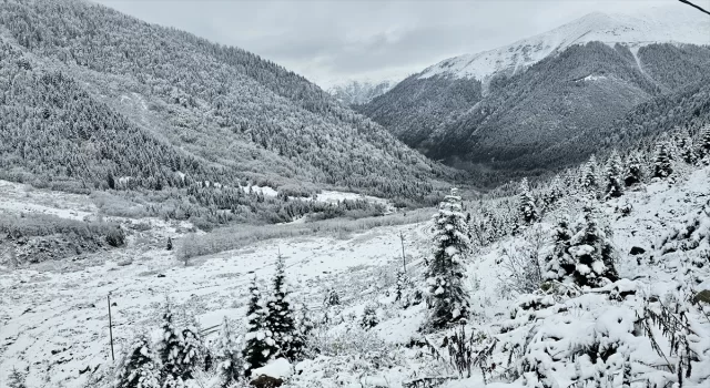 Rize’de yaylacıların köye dönüş yolculuğu devam ediyor