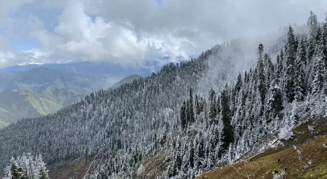 Artvin’de kardan kapanan köy yolları ulaşıma açıldı