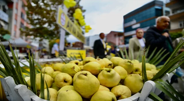 Sakarya’da ”5. Pamukova Ayva ve Yöresel Ürünler Festivali” başladı